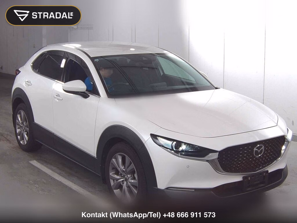 MAZDA CX-30 4WD 20S PROACTIVE 2019, aukcja z Japonii, zdjęcie 1