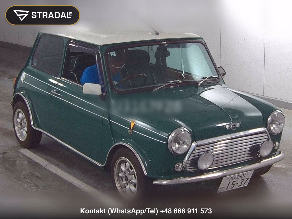 ROVER MINI 2D, miniaturka 2