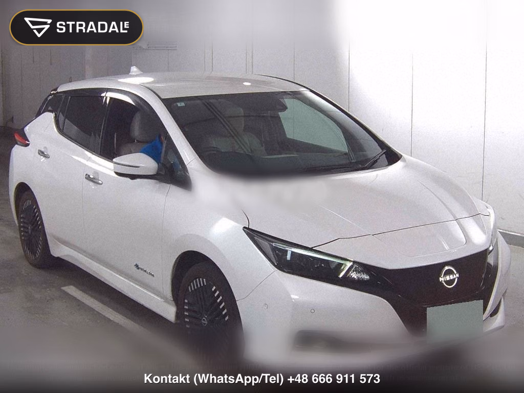 NISSAN LEAF E+ G, miniaturka 2
