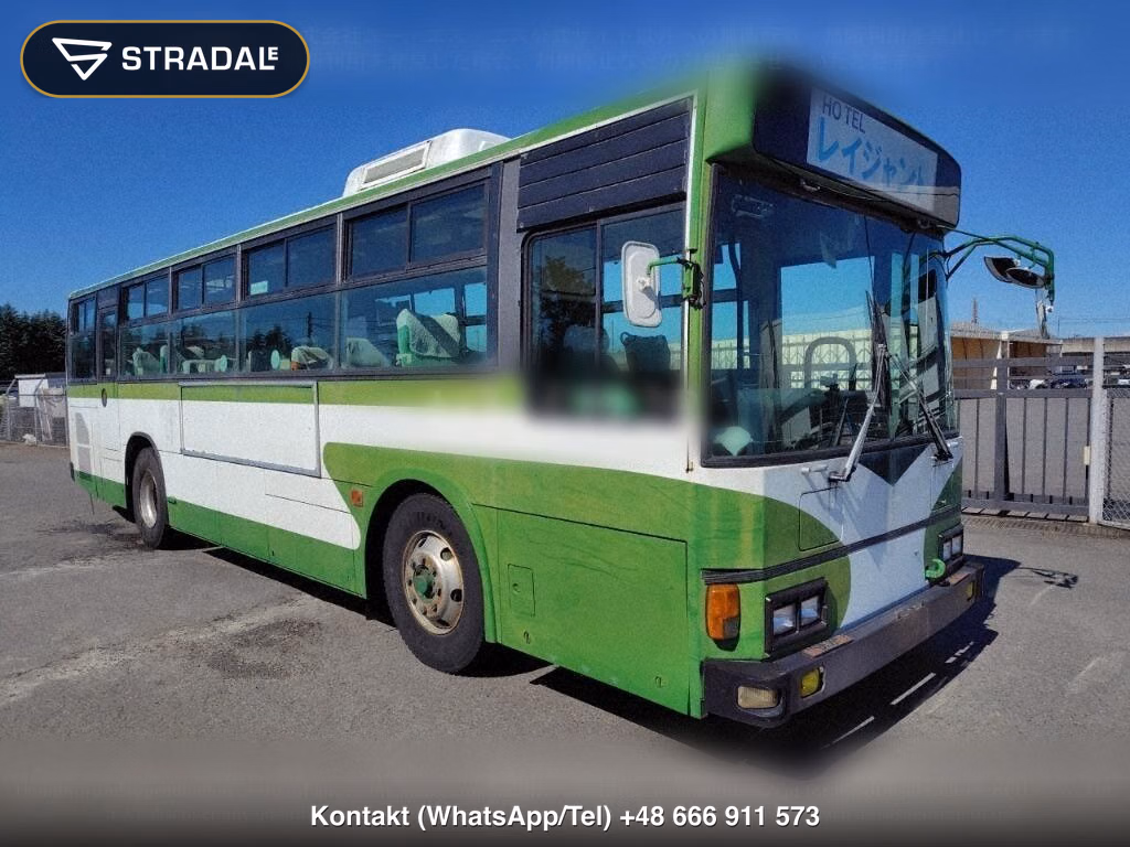 HINO BLUE RIBBON 2D, miniaturka 2