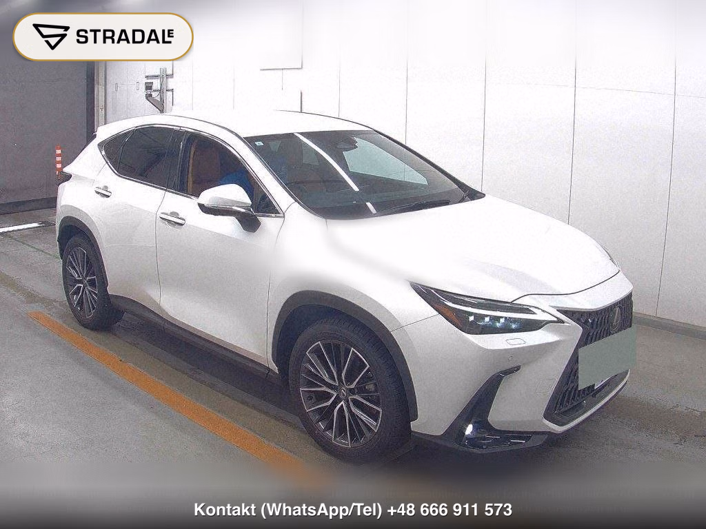 LEXUS NX NX250 VERSION L, miniaturka 2