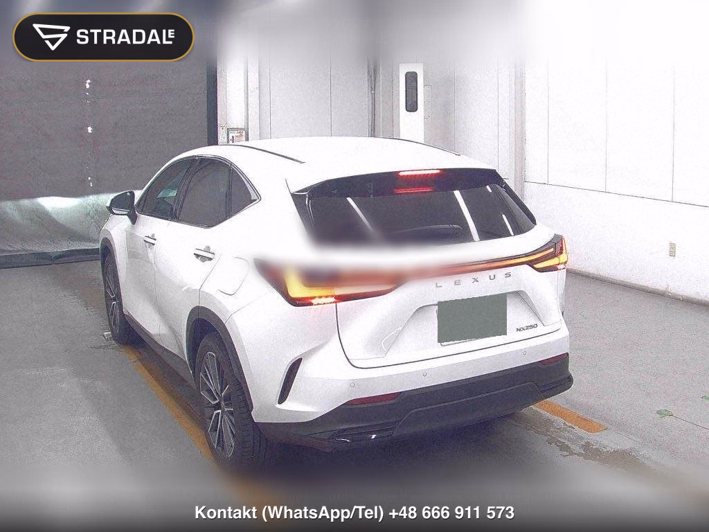 LEXUS NX NX250 VERSION L, miniaturka 3