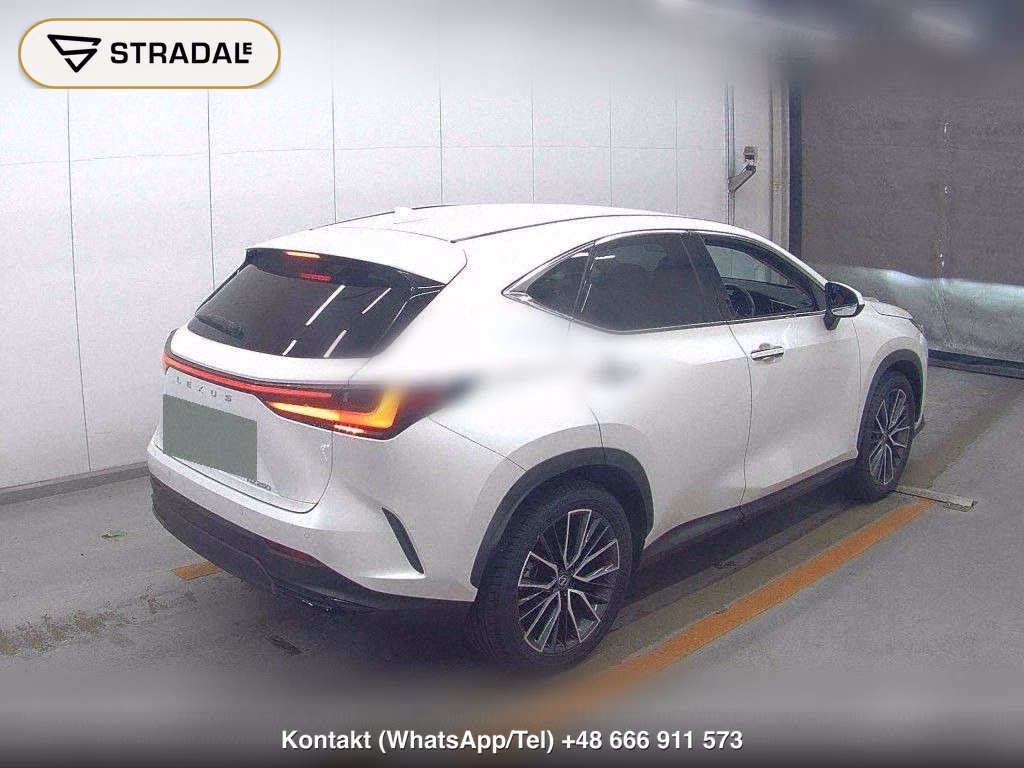 LEXUS NX NX250 VERSION L, miniaturka 6