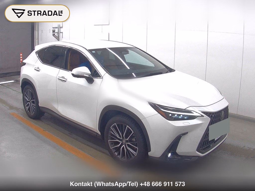 LEXUS NX NX250 VERSION L 2023, aukcja z Japonii, zdjęcie 1