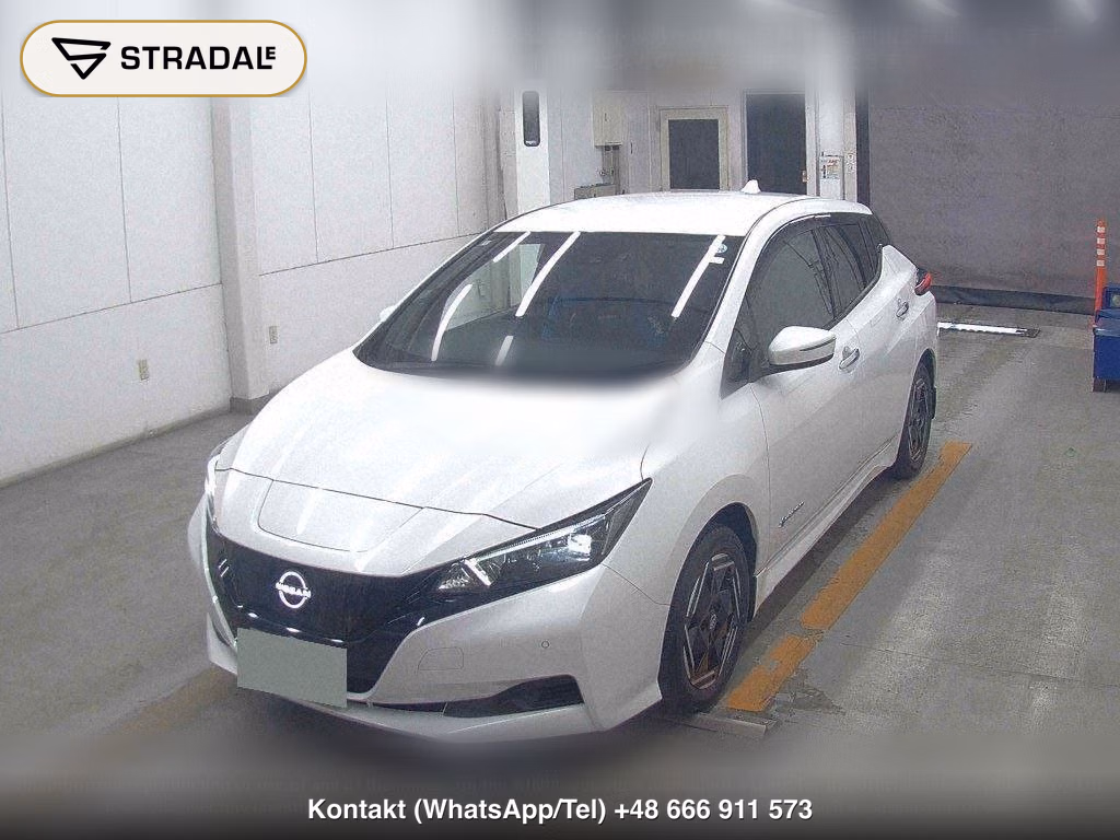 NISSAN LEAF X, miniaturka 5
