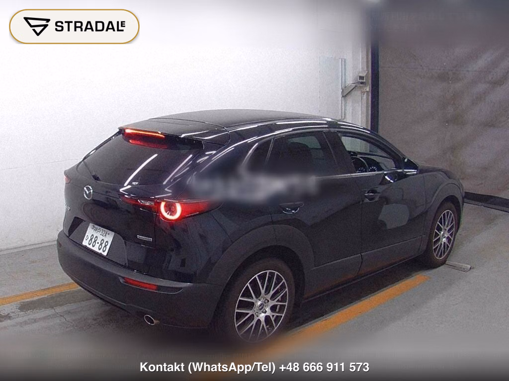 MAZDA CX-30 XD L PACKAGE, miniaturka 6