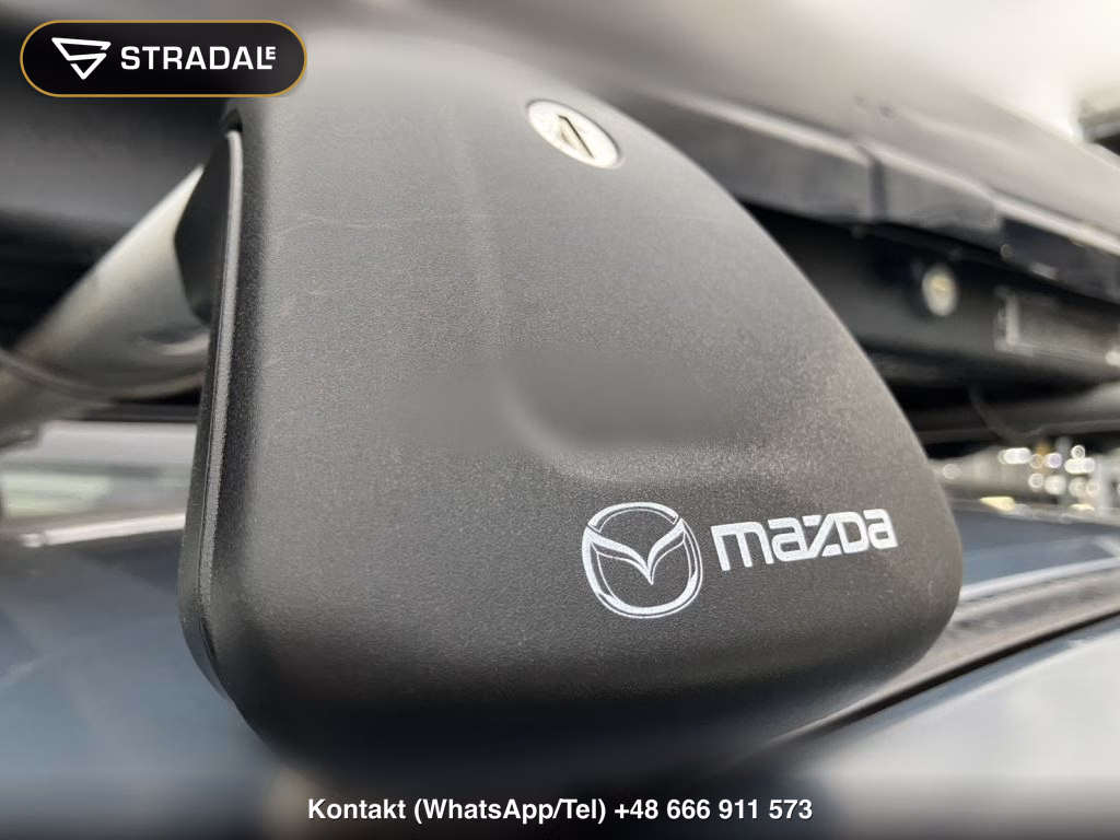 MAZDA CX-30 20S PROACTIVE TOURING SELECTION, miniaturka 12