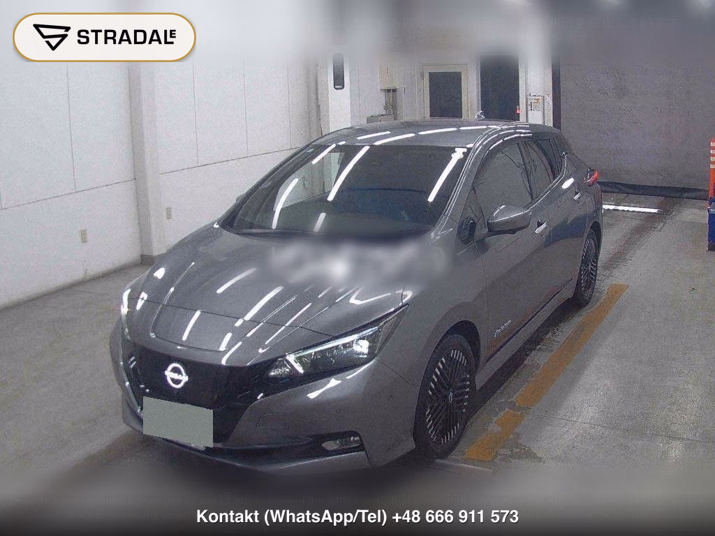 NISSAN LEAF G, miniaturka 5