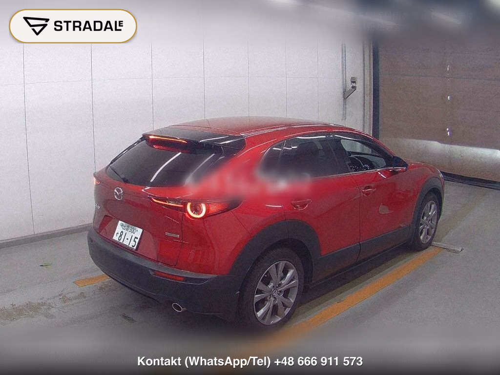 MAZDA CX-30 XD PROACTIVE TOURING SELECTION, miniaturka 6