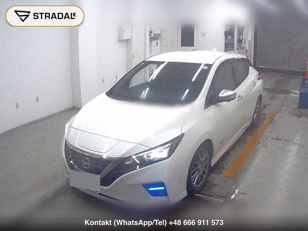 NISSAN LEAF AUTECH, miniaturka 5