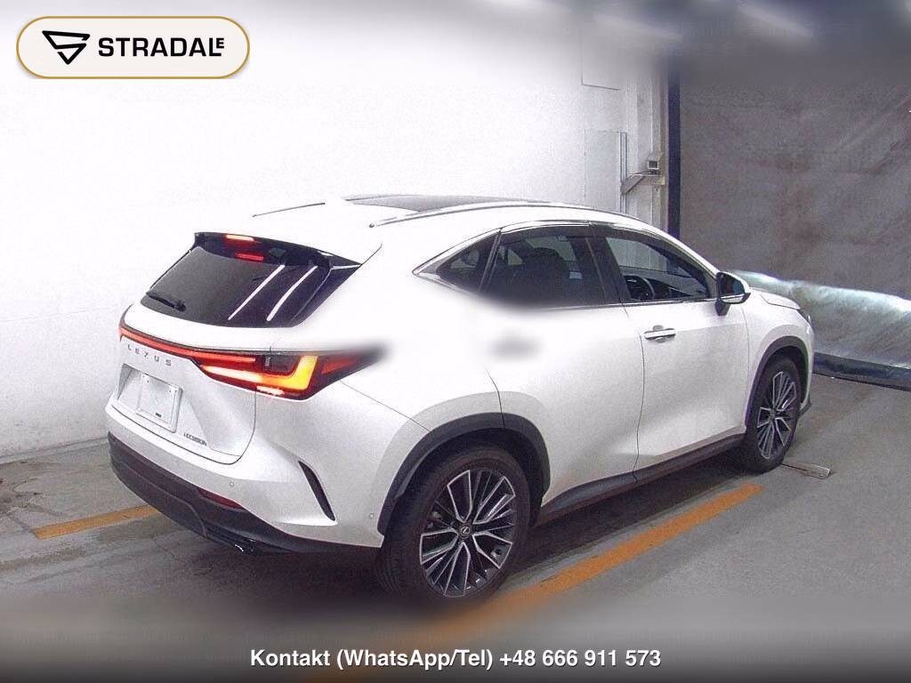 LEXUS NX NX350H VERSION L, miniaturka 6