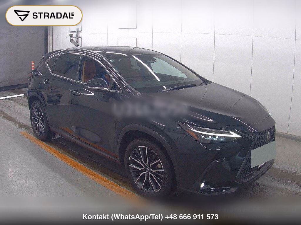 LEXUS NX NX250 VERSION L, miniaturka 2