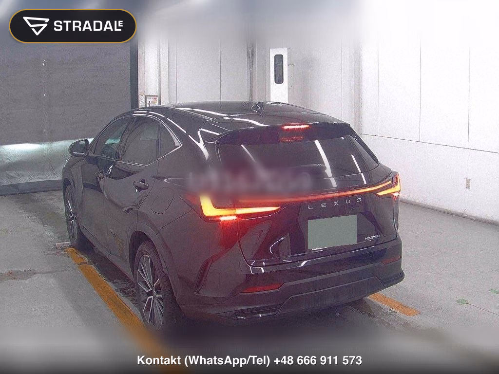 LEXUS NX NX250 VERSION L, miniaturka 3