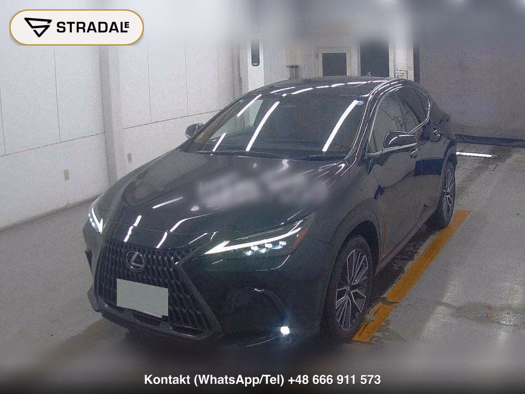 LEXUS NX NX250 VERSION L, miniaturka 5
