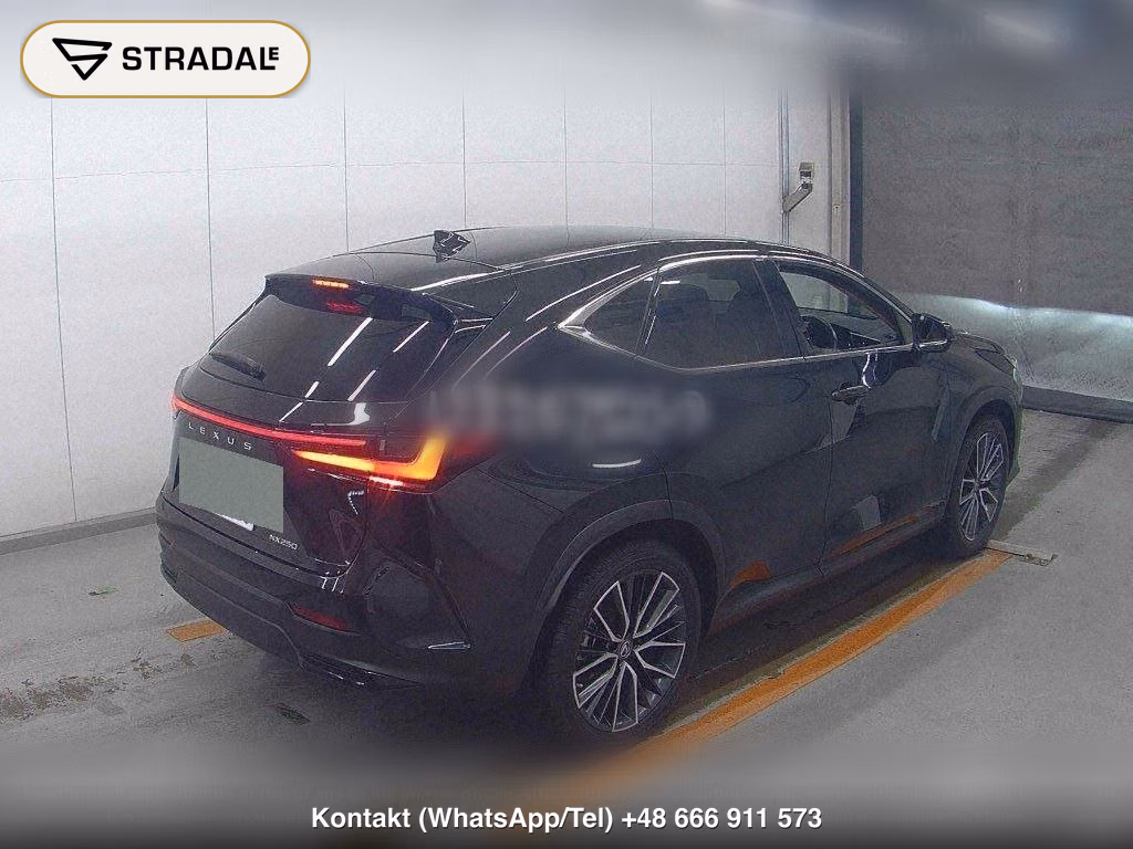 LEXUS NX NX250 VERSION L, miniaturka 6