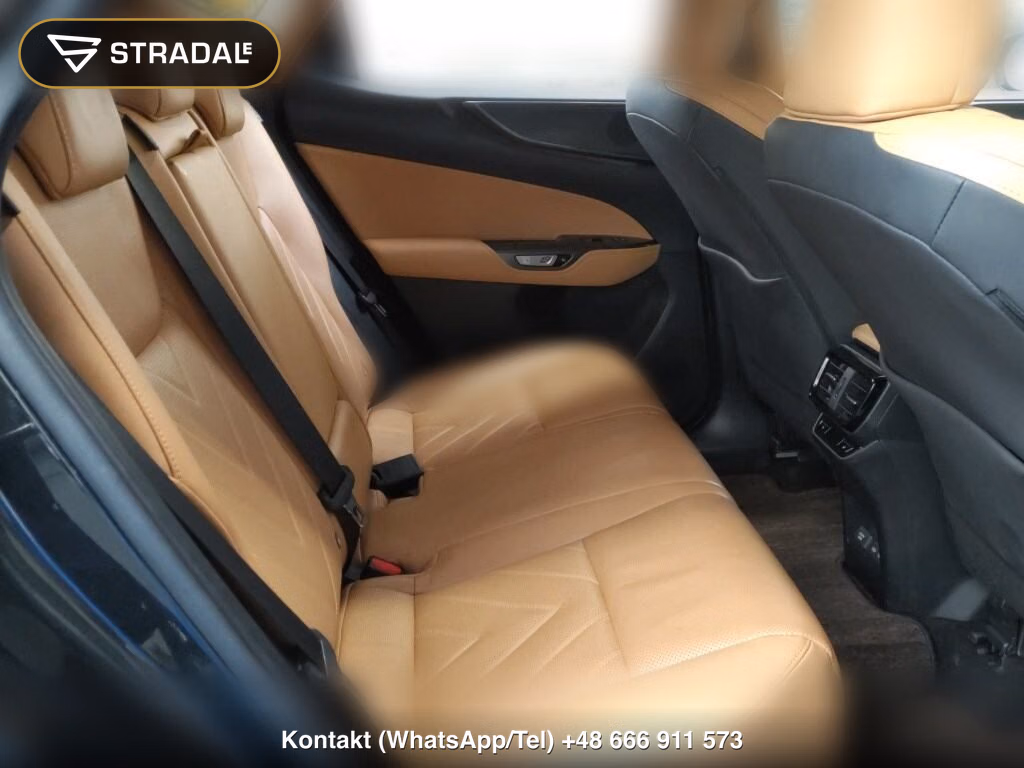 LEXUS NX NX250 VERSION L, miniaturka 7