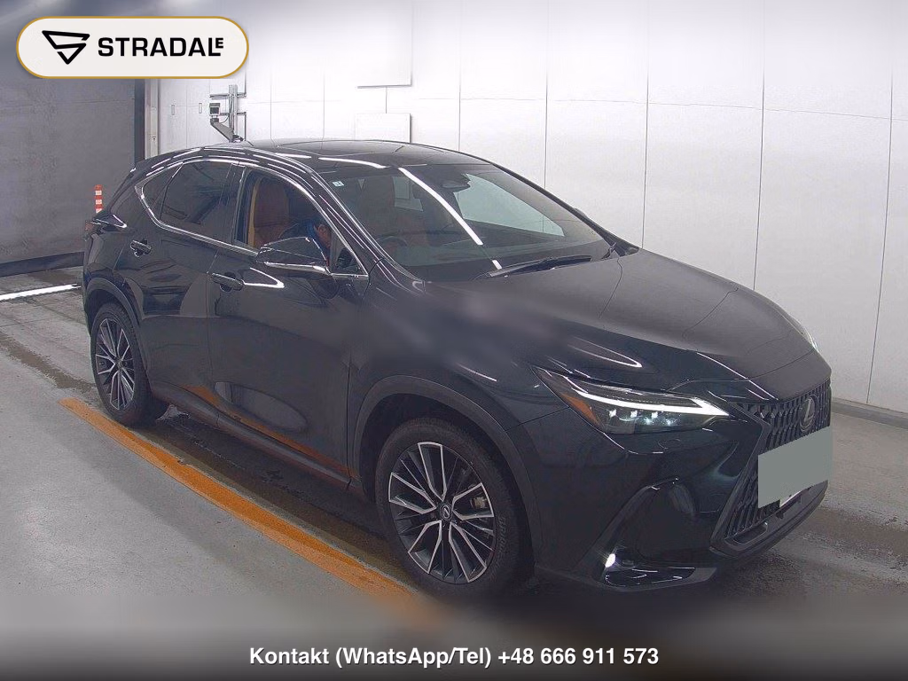 LEXUS NX NX250 VERSION L 2023, aukcja z Japonii, zdjęcie 1