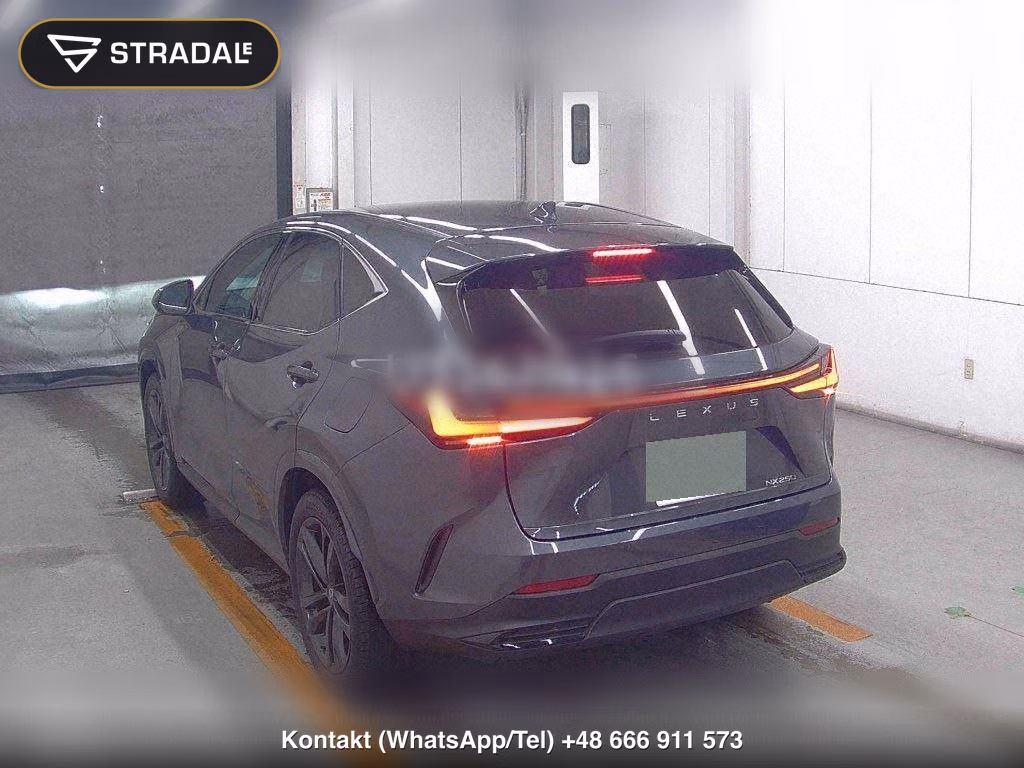LEXUS NX NX250 VERSION L, miniaturka 3