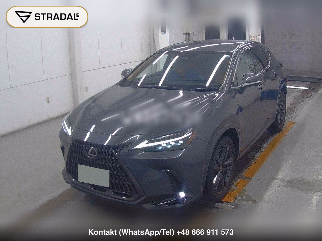 LEXUS NX NX250 VERSION L, miniaturka 5
