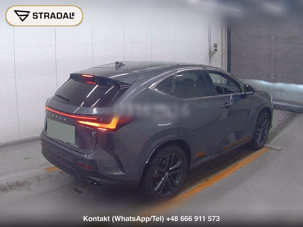 LEXUS NX NX250 VERSION L, miniaturka 6