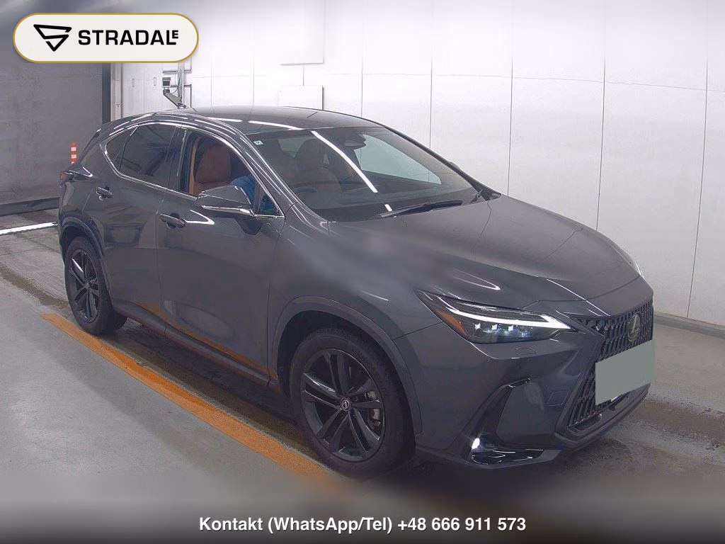 LEXUS NX NX250 VERSION L 2024, aukcja z Japonii, zdjęcie 1