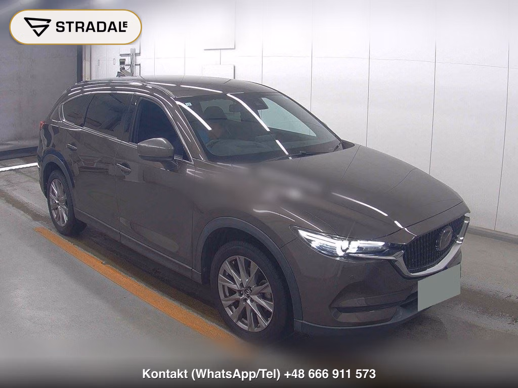 MAZDA CX-8 25S PROACTIVE 2019, aukcja z Japonii, zdjęcie 1