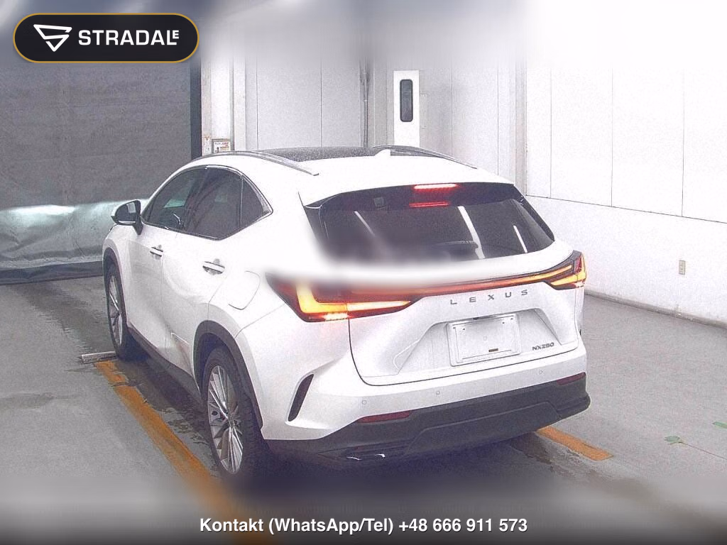 LEXUS NX NX250 VERSION L, miniaturka 3