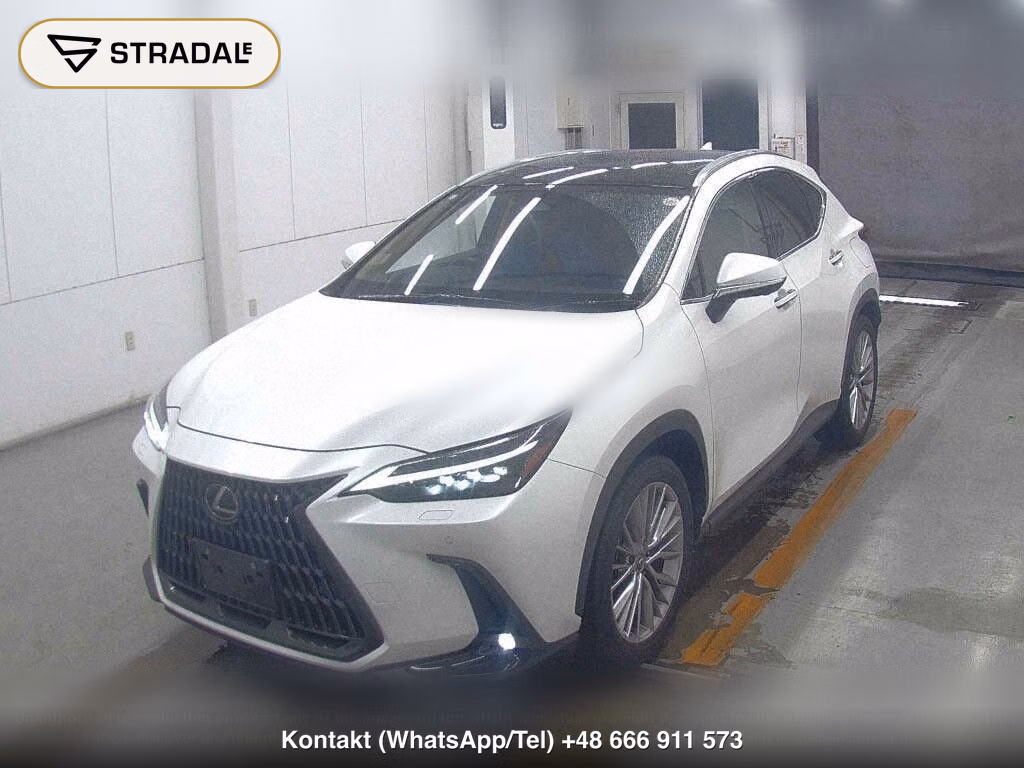 LEXUS NX NX250 VERSION L, miniaturka 5