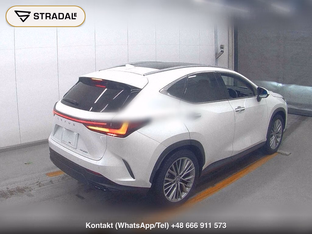 LEXUS NX NX250 VERSION L, miniaturka 6