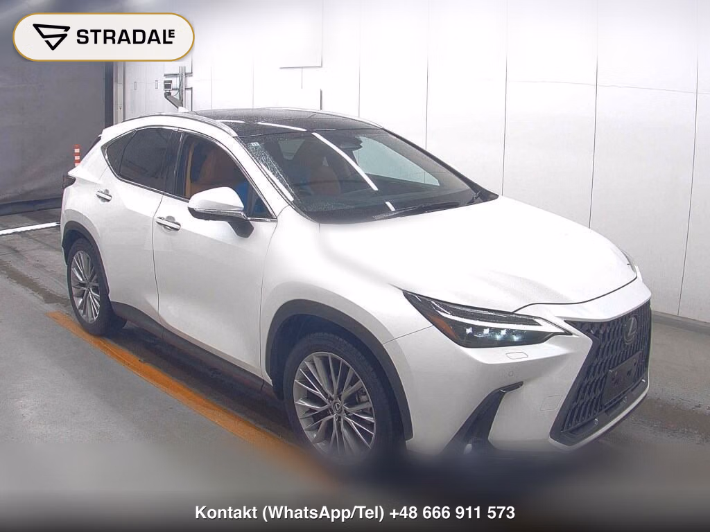 LEXUS NX NX250 VERSION L 2023, aukcja z Japonii, zdjęcie 1