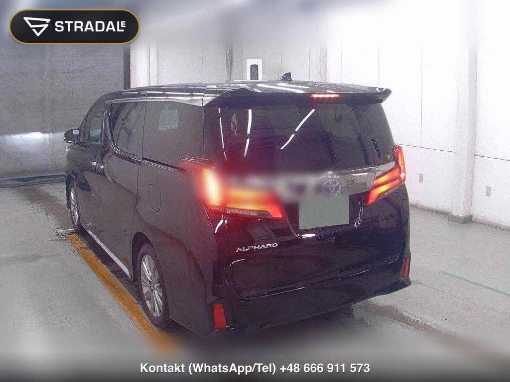 TOYOTA ALPHARD 2.5S TYPE GOLDⅡ, miniaturka 3