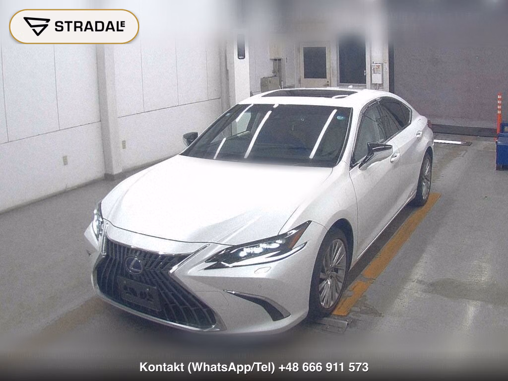 LEXUS ES ES300H VERSION L, miniaturka 5