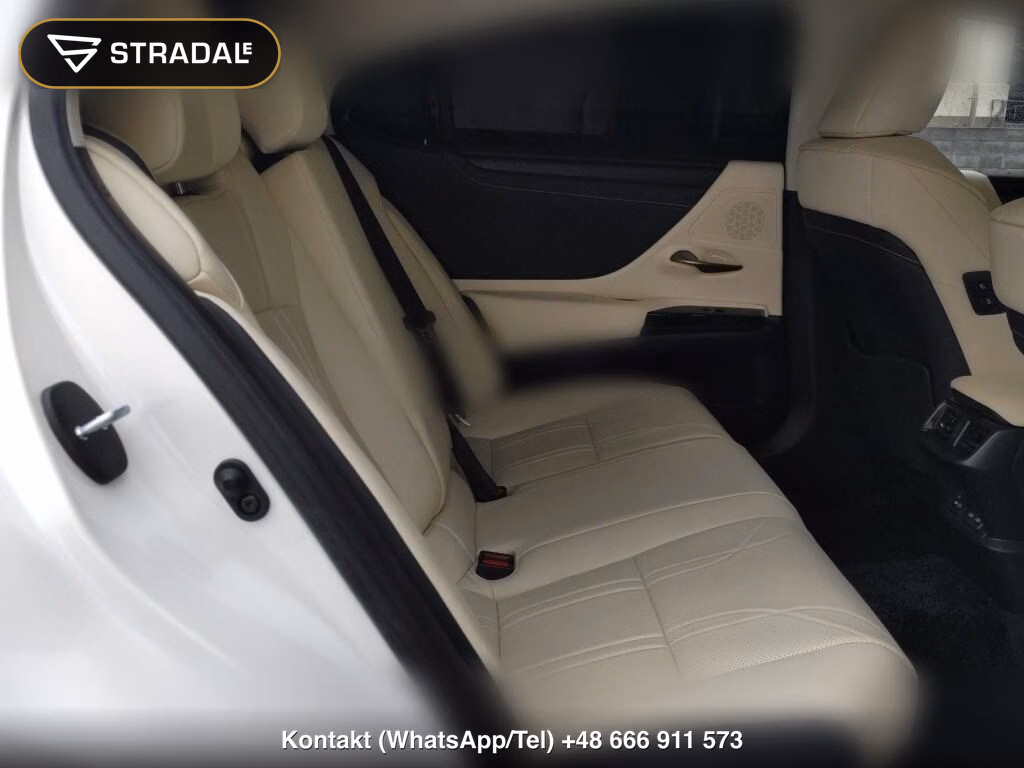 LEXUS ES ES300H VERSION L, miniaturka 7