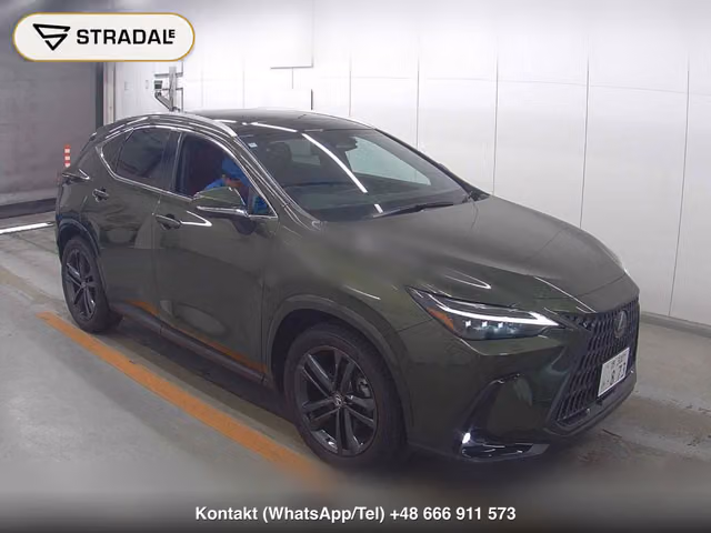 LEXUS NX NX250 VERSION L 2024, samochód z aukcji Japonii