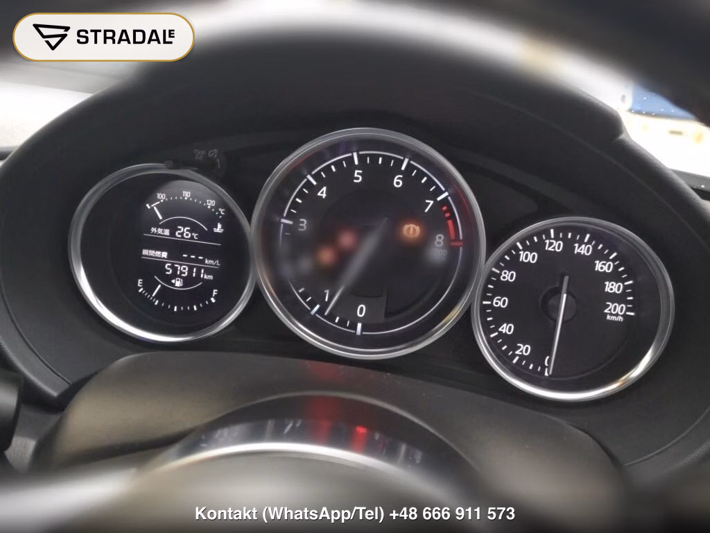 MAZDA ROADSTER S SPECIAL PACKAGE, miniaturka 7