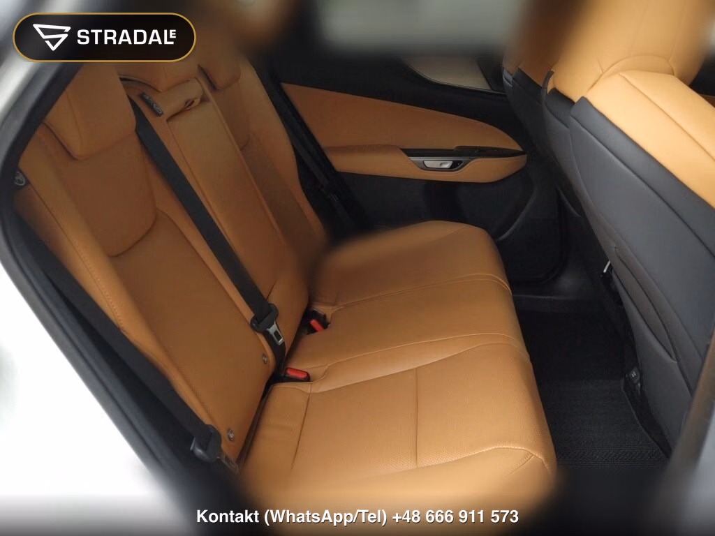 LEXUS NX NX350H F SPORT, miniaturka 7