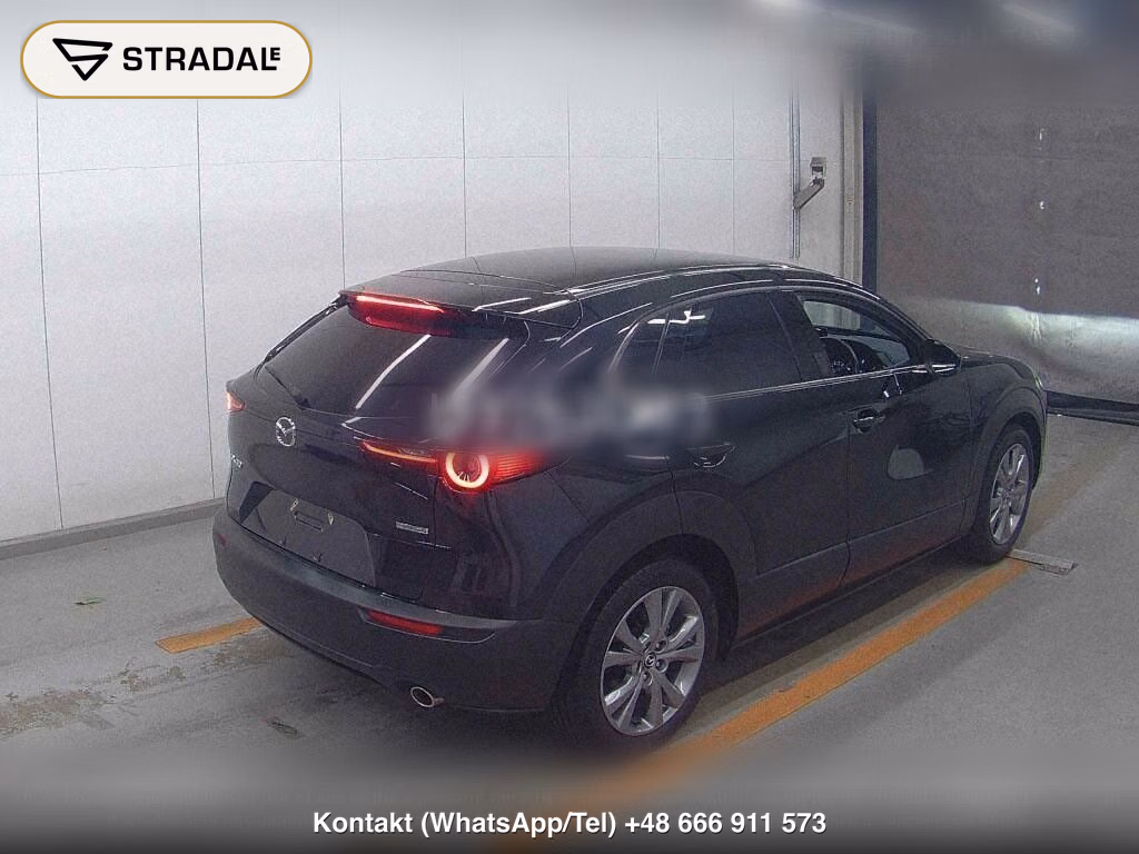 MAZDA CX-30 20S PROACTIVE, miniaturka 6