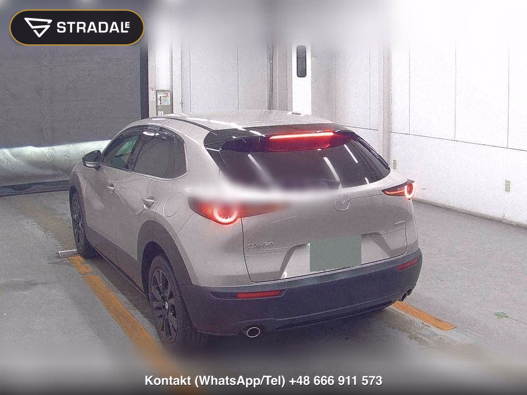 MAZDA CX-30 20S RETRO SPORTS EDITION, miniaturka 3