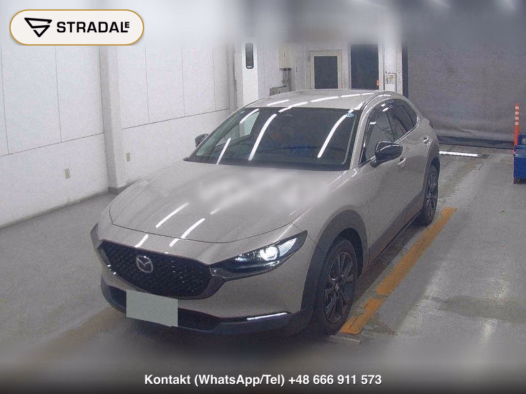 MAZDA CX-30 20S RETRO SPORTS EDITION, miniaturka 5