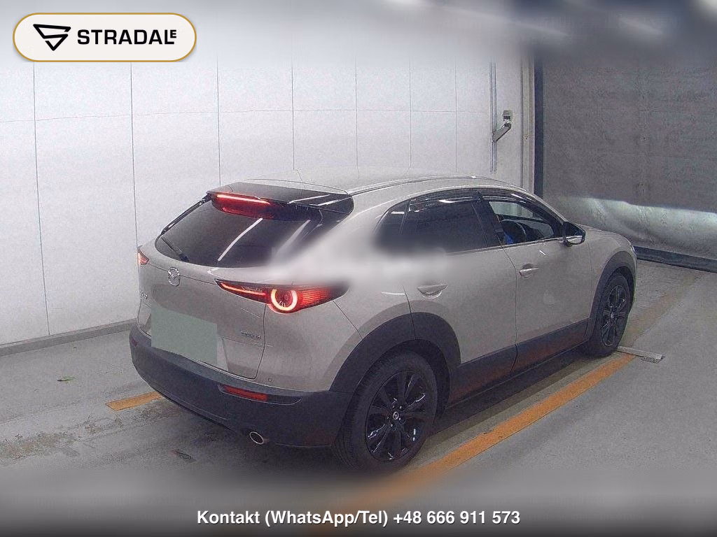 MAZDA CX-30 20S RETRO SPORTS EDITION, miniaturka 6