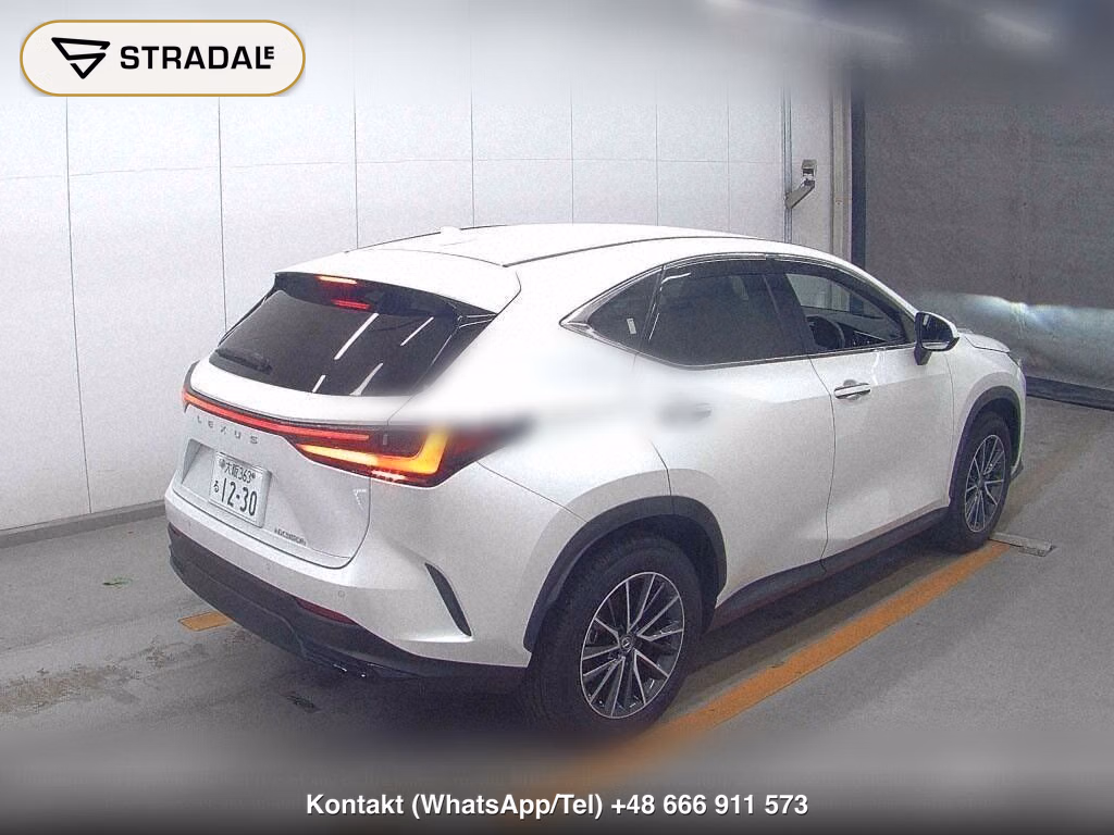 LEXUS NX NX350H, miniaturka 6