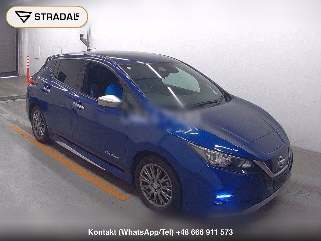 NISSAN LEAF AUTECH, miniaturka 2