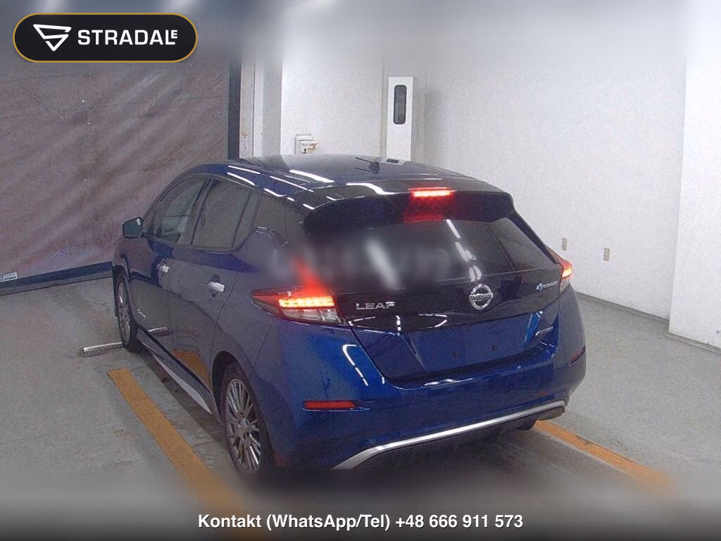 NISSAN LEAF AUTECH, miniaturka 3