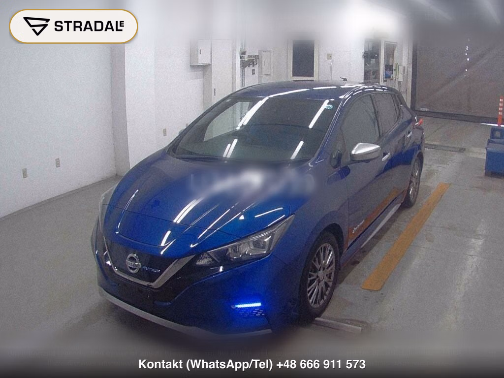 NISSAN LEAF AUTECH, miniaturka 5