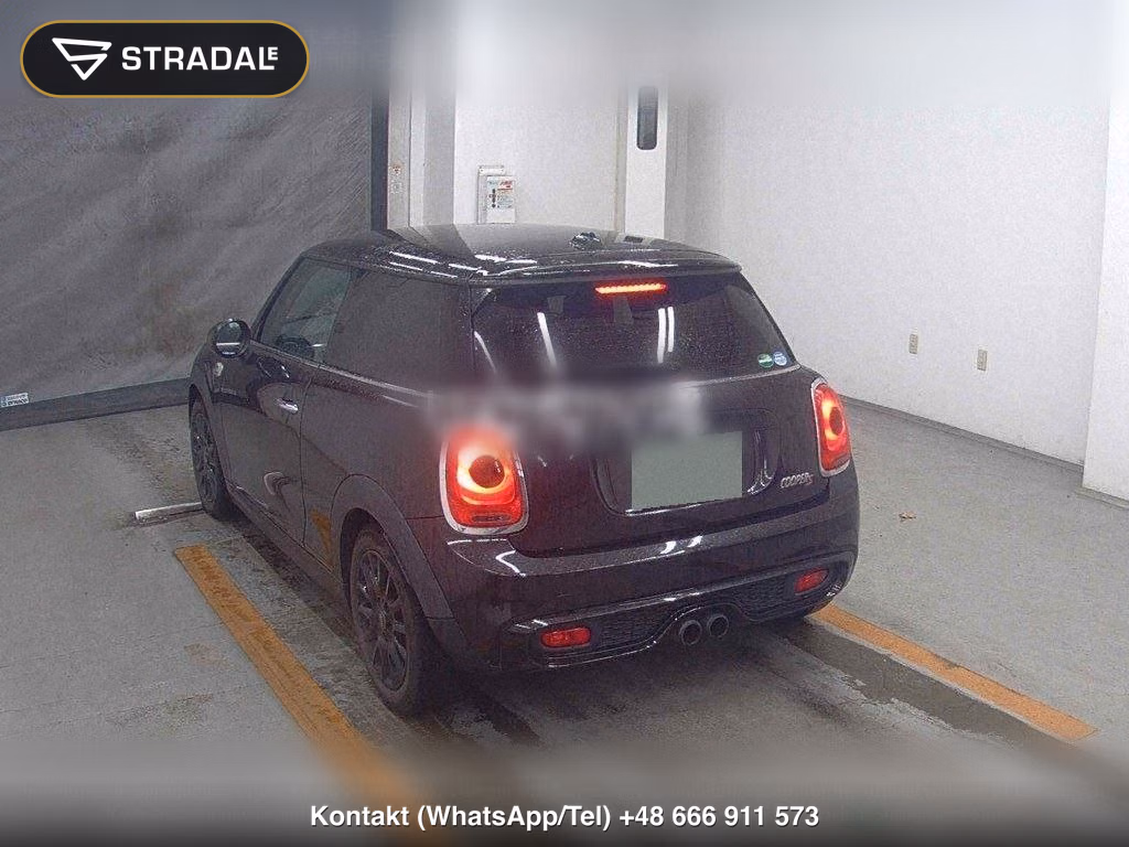 MINI MINI 3D COOPER S, miniaturka 3