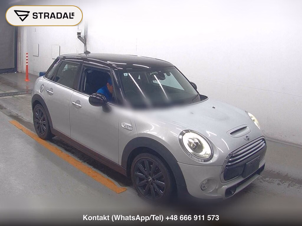 MINI MINI 5D OTHERS 2017, aukcja z Japonii, zdjęcie 1