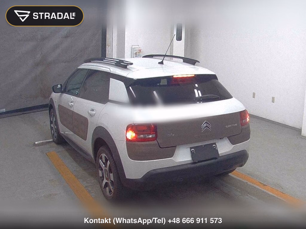 CITROEN C4 CACTUS BASE GRADE, miniaturka 3
