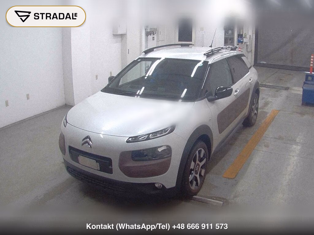 CITROEN C4 CACTUS BASE GRADE, miniaturka 5
