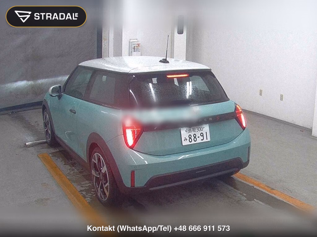 MINI MINI 3D COOPER S, miniaturka 3