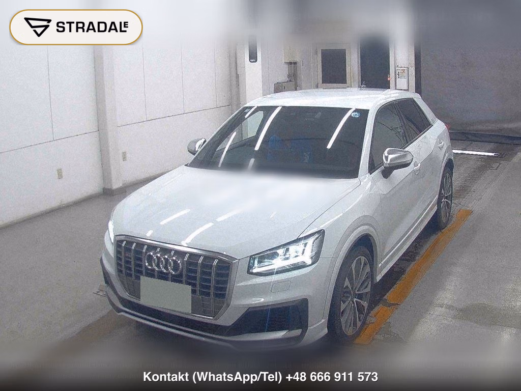 AUDI SQ2 4WD BASE GRADE, miniaturka 5